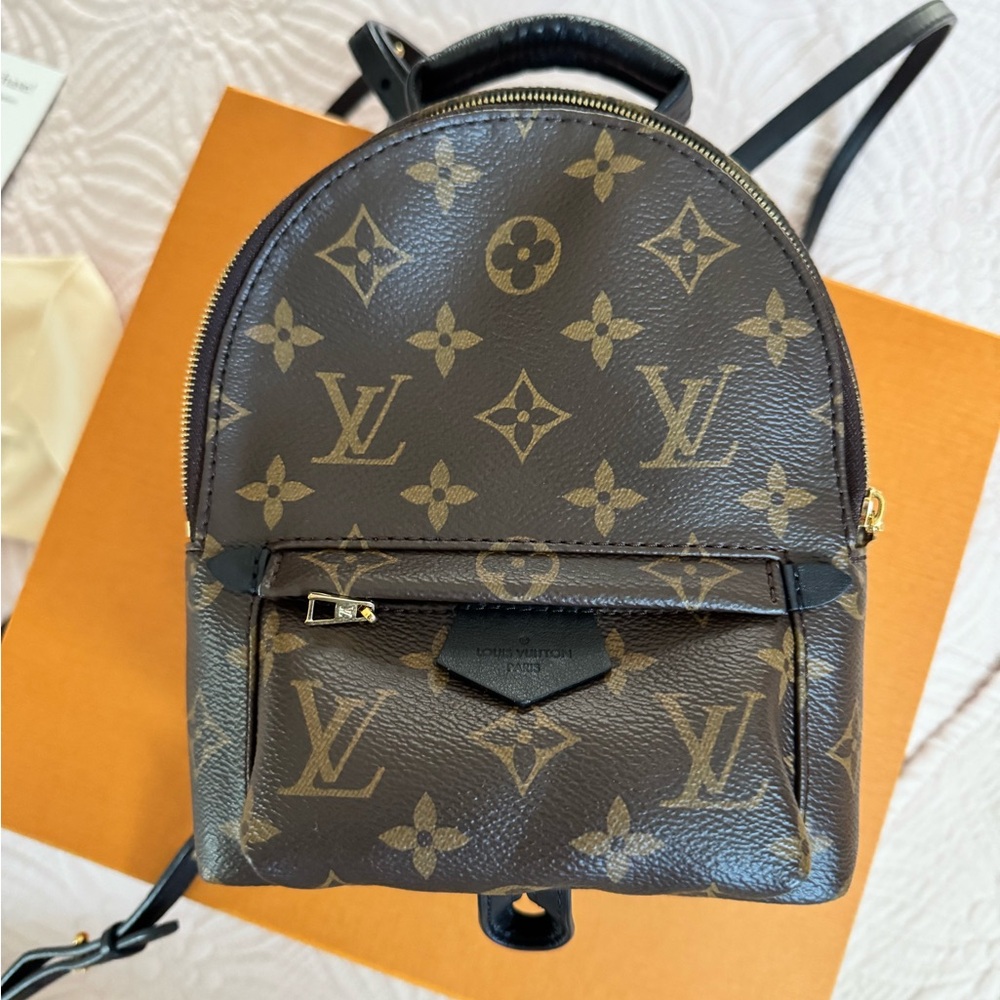 Louis Vuitton Palm Springs Mini